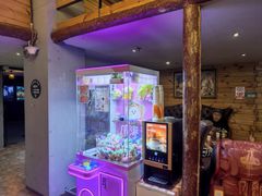 -明日世界密室轰趴·剧本桌游·箭馆团建(国贸店)