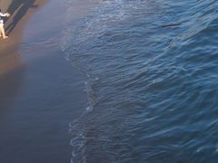 -演武大桥观景平台