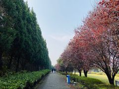 -秦始皇帝陵博物院-丽山园