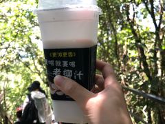 -呀诺达热带雨林
