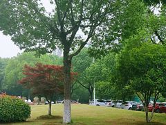 -山明水秀大饭店