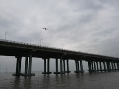 -宝安西湾红树林湿地公园