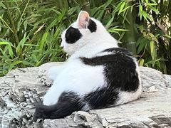 -恭王府博物馆