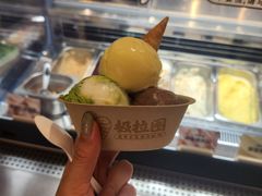 -极拉图·现制冰淇淋(大卫城店)