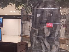 -东四民芳餐厅(世茂工三店)