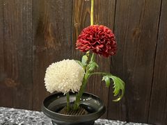 -灶咖KITCHEN