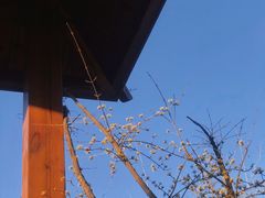 -郑州银基黄帝宫御温泉