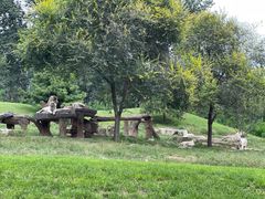 -北京野生动物园