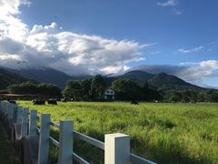 -瑞穗牧场