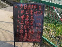 -菊园百果园
