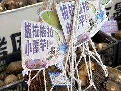 -墨茉点心局(国金街店)