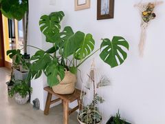 -AHAVA·Fang Baking Studio