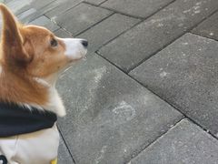 -NEA BAY咖啡馆