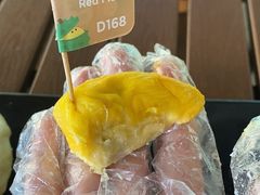-榴莲BB 四季果园