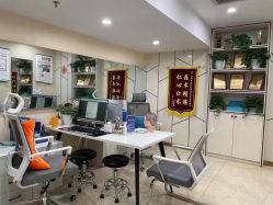 -碧莲盛·不剃发植发