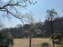 -头陀岭景区