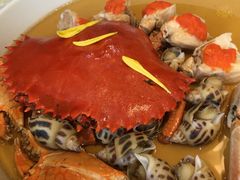 -荷风细雨·中国茶宴(碧云店)