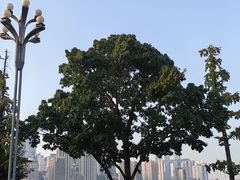 -白乐天毛肚火锅馆(南滨路店)