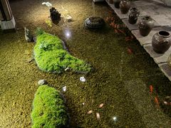 -几荷·恰似故人来(秀水广场店)