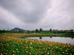 -径山花海