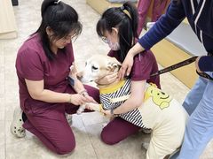 -美联众合动物医院·24h转诊中心
