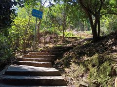 -风云岭森林公园