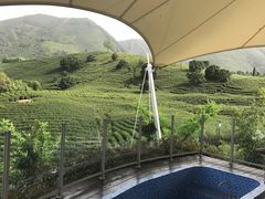 -帐篷客·溪龙茶谷度假酒店