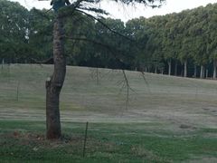 -河南省黄河迎宾馆