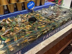 -丰卓会海鲜自助(中润大道店)