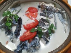 -全乐鱼馆·淳牌有机鱼直营店