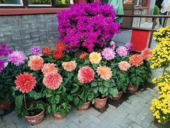 -三人行骨头王火锅(长寿店)