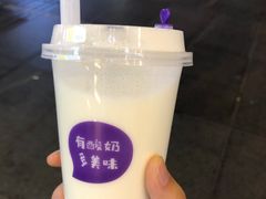 -一只酸奶牛(八一路店)