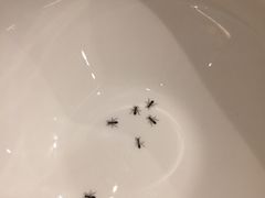 -唐宫小聚(荃湾荃新天地店)