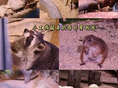 -正佳极地海洋世界