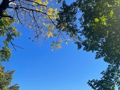 -北京十三陵国家森林公园蟒山景区