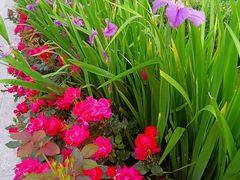 -漕溪路(地铁站)