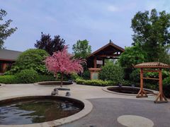 -郑州银基黄帝宫御温泉