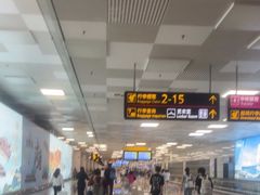 -郑州新郑国际机场-T2航站楼