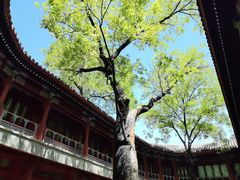 -华夏良子·足道SPA艾灸(王府井店)