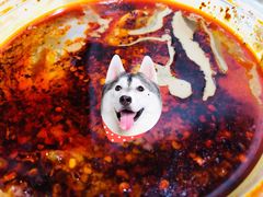-清真·宏顺祥卤汁凉粉(大皮院店)