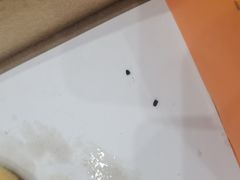 -芝根芝底(闵行区漕宝店)
