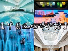 -中国湿地博物馆
