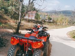 -名花谷生态庄园