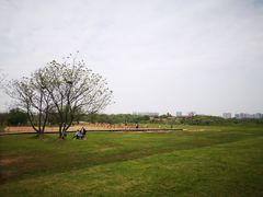 -盘龙城国家考古遗址公园