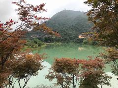 -梦幻奥陶纪景区