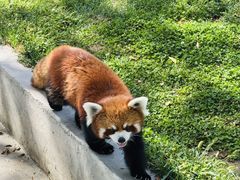 -水上乐园·欢乐世界