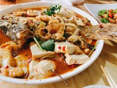 -煲来饱去冷水鱼