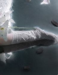 -WAVE SODA摄影工作室