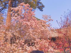 -潭柘寺景区