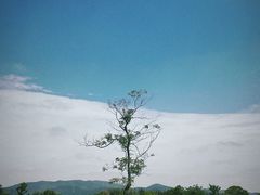 -良渚古城遗址公园